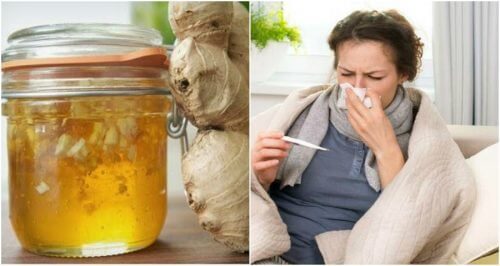 Les mucosités et les infusions.