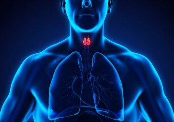 Traitement de l'hypothyroïdie