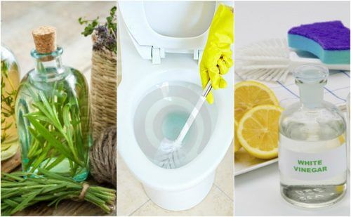 5 solutions écologiques pour désinfecter votre salle de bains