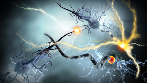 synapse électrique en cas de sclérose en plaques