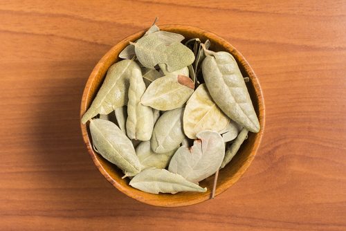 Des compresses imbibées de tisane de pissenlit contre les douleurs cervicales.