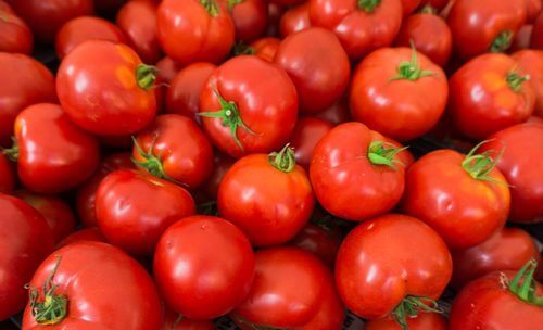 tomates