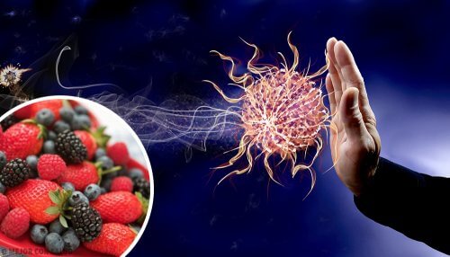 9 aliments pour booster votre système immunitaire