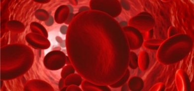 Comment maintenir un bon flux sanguin ?