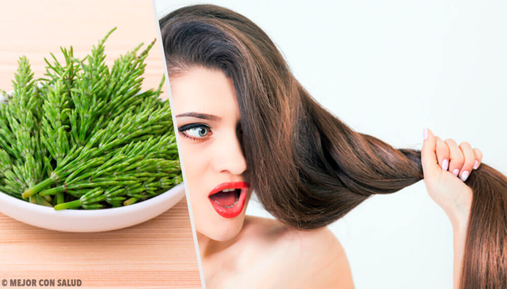 Comment utiliser la prêle des champs pour faire pousser vos cheveux Comment utiliser la prêle des champs pour faire pousser vos cheveux