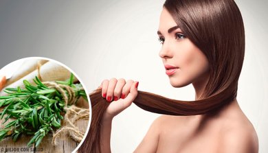 Herbes et épices qui favorisent la pousse des cheveux
