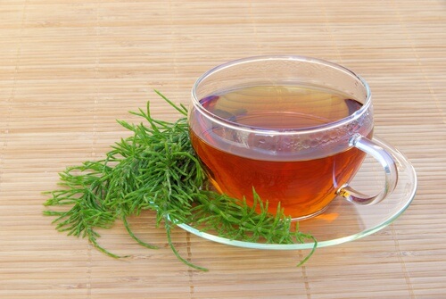 Infusion de prêle des champs pour faire pousser vos cheveux