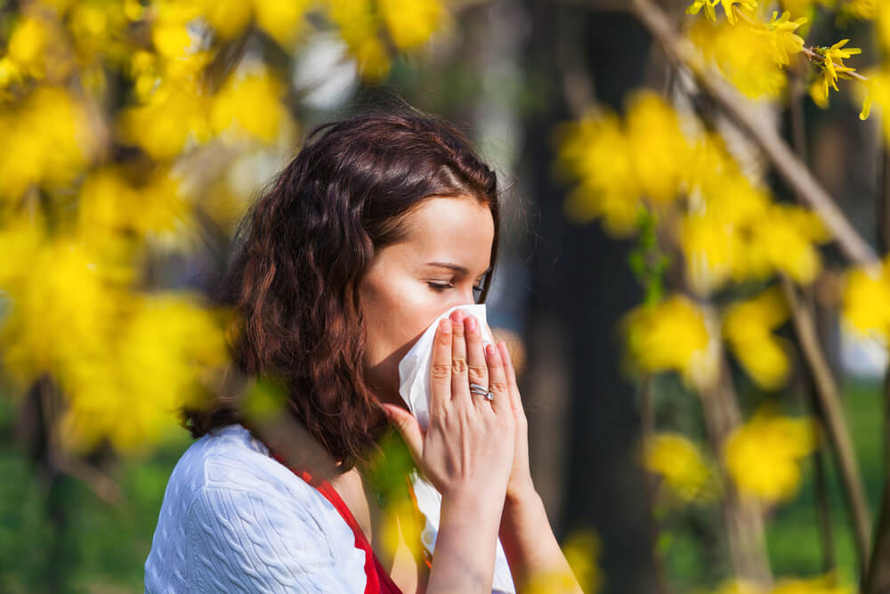 Allergie au pollen