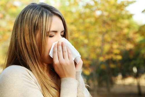 allergie