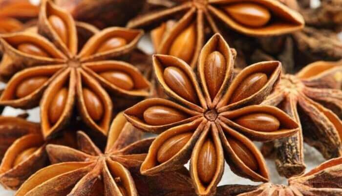 anis pour soulager les complications digestives