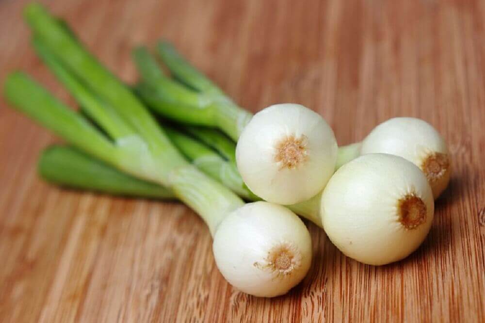 Infusion de cébette pour dissoudre les calculs d'acide urique.