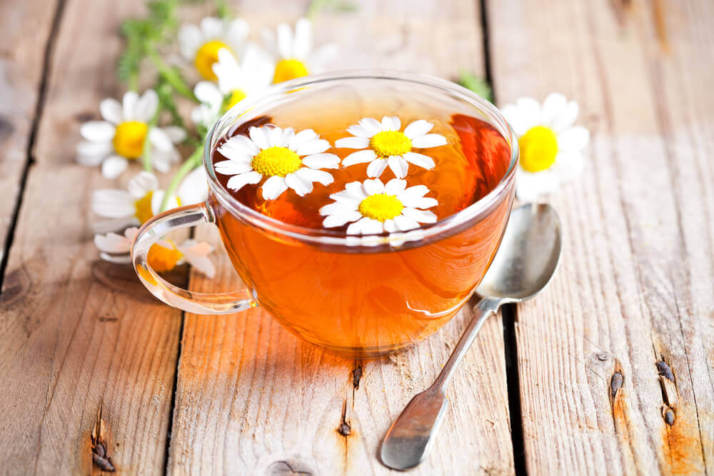 infusion de camomille