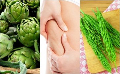 Thé à l'artichaut et la prêle des champs contre la cellulite