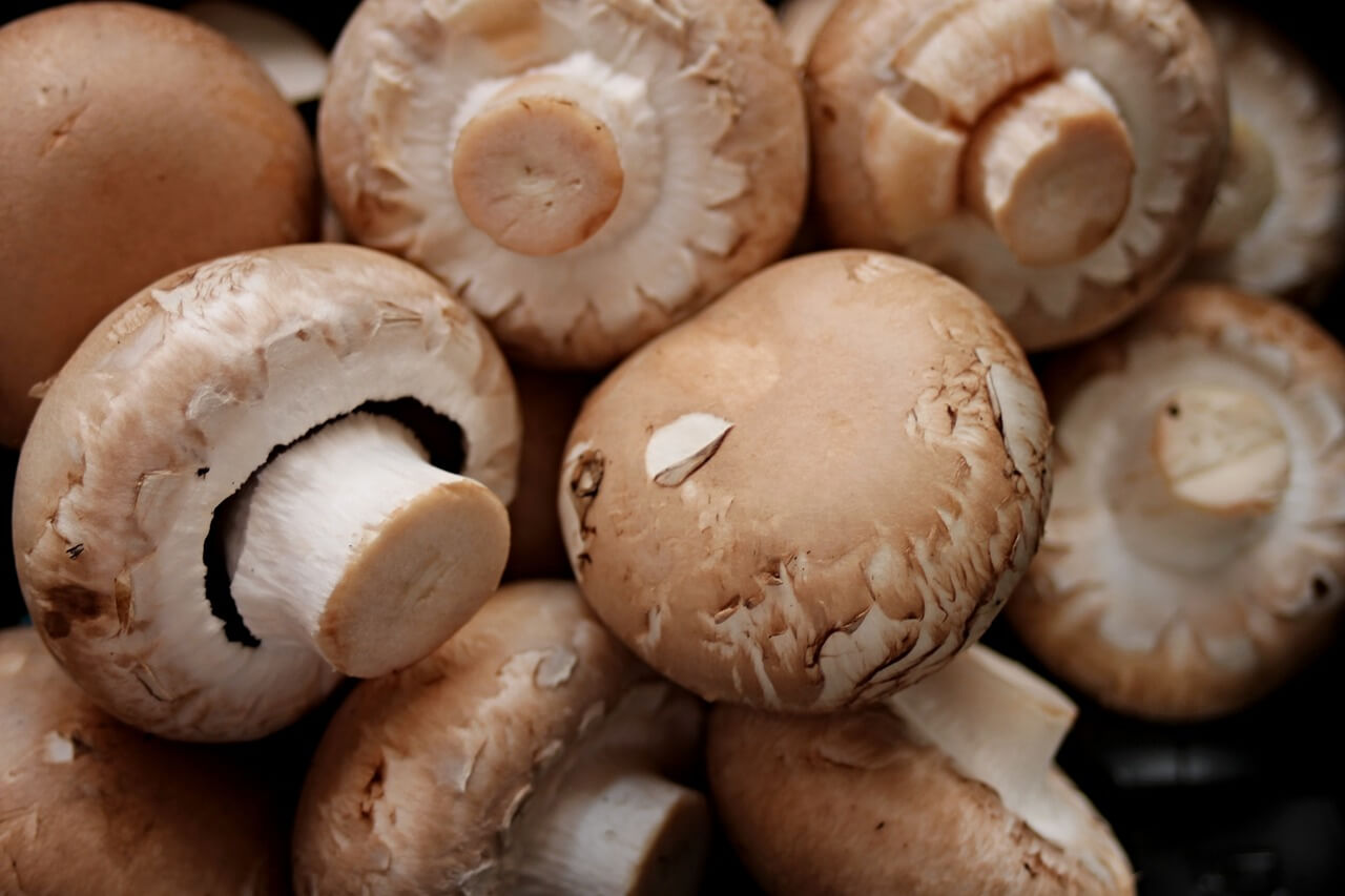 les champignons pour booster le système immunitaire
