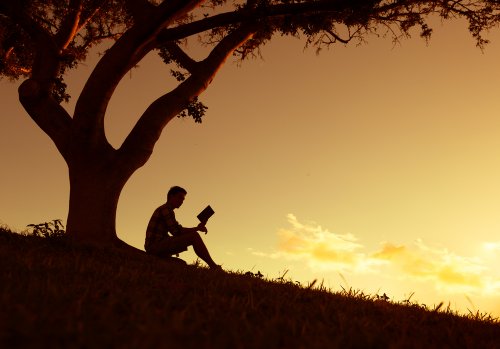 la culpabilité qui ouvre nos cicatrices