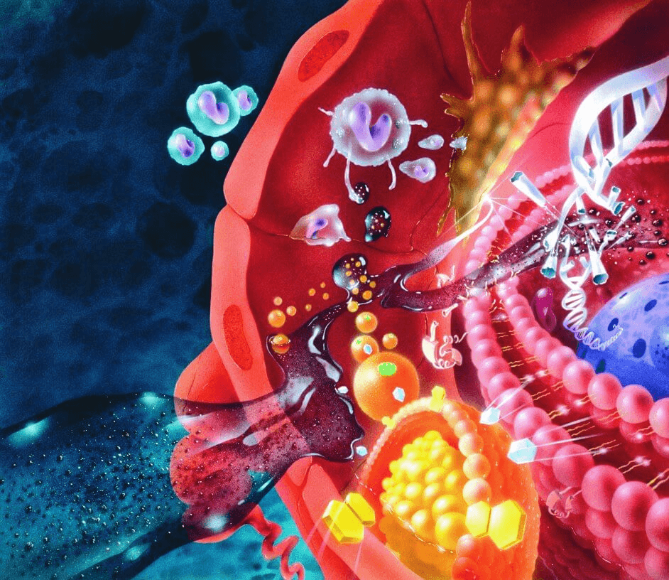 bienfaits de l aubergine : combat les radicaux libres