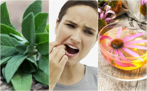 Comment combattre la gingivite avec 5 remèdes naturels