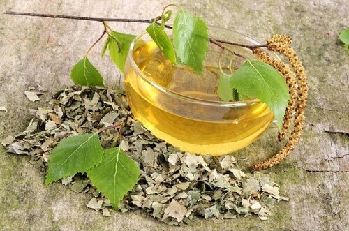 infusion de bouleau contre la cystite