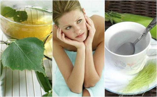 Combattez la cystite avec 5 infusions naturelles Combattez la cystite avec 5 infusions naturelles