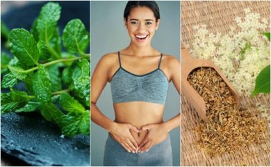 6 plantes médicinales pour prendre soin de votre digestion
