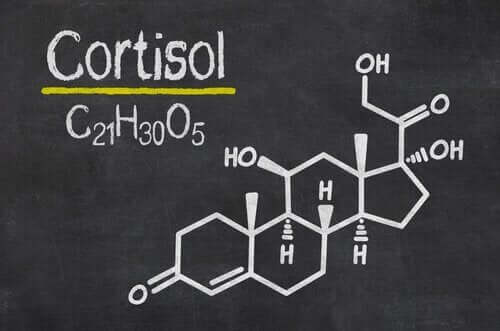 6 signaux d'un taux de cortisol élevé dans l'organisme