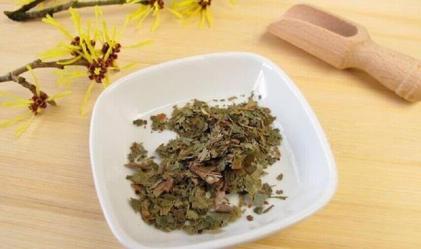 infusion d'hamamélis contre les douleurs des seins