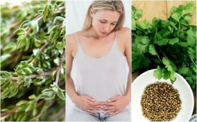 6 herbes carminatives pour se débarrasser des gaz intestinaux