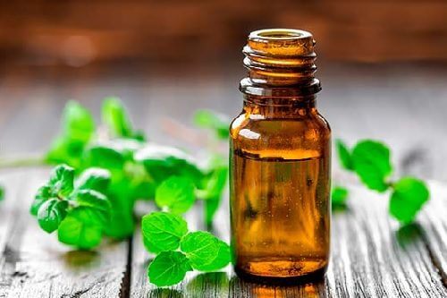 douleurs musculaires : huile de menthe