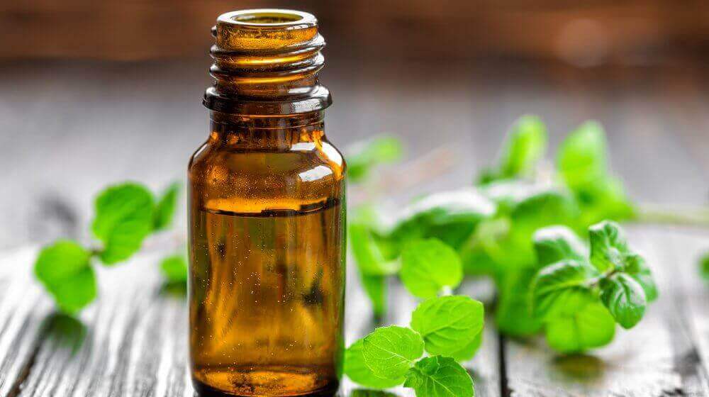 huile essentielle de menthe pour perdre du poids