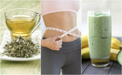 3 boissons au thé vert pour perdre du poids