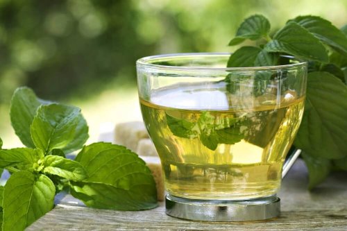 infusion de thé vert et de menthe pour perdre du poids