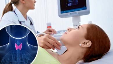 Physiologie de la thyroïde