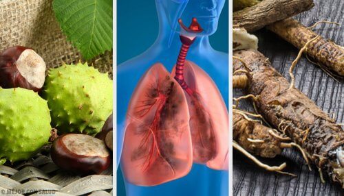 4 remèdes maison pour renforcer vos poumons
