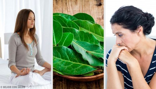 7 propriétés inconnues des feuilles de laurier