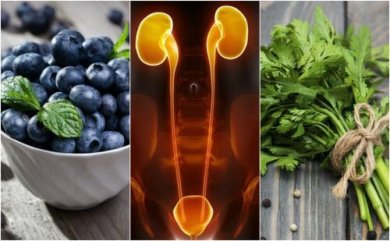 7 aliments à ingérer pour protéger les reins et la vessie