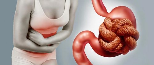 les pruneaux comme laxatif naturel contre la constipation