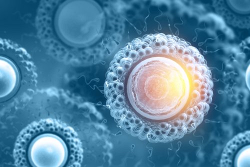 Que sont réellement les cellules souches et à quoi servent-elles ?