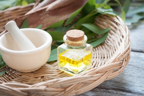 Eucalyptus, oignon et citron pour traiter la toux