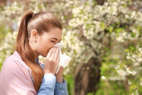 Que manger pour combattre les allergies saisonnières ?