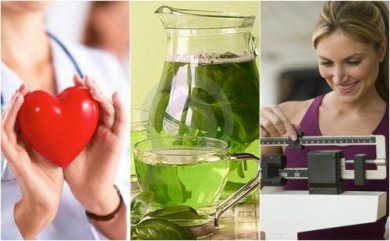 6 importants bienfaits du thé vert