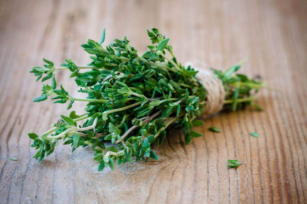 thym pour se débarrasser des gaz intestinaux