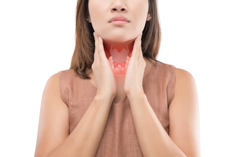 La thyroïde et les hormones, physiologie de la thyroïde.
