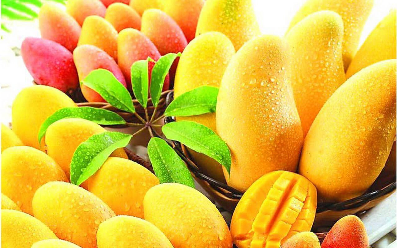 La vitamine E