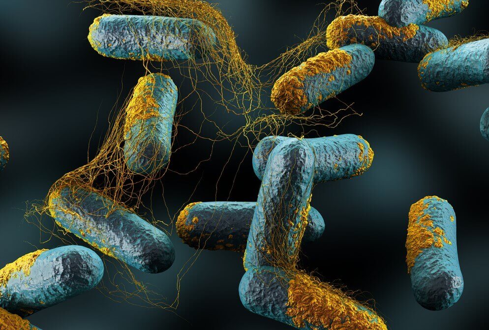 Les causes de l'érysipèle.