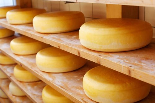 Les types de fromages les plus sains : Cheddar vieux