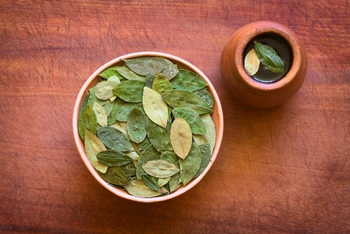 Infusion de feuilles de coca : des bienfaits surprenants pour la santé
