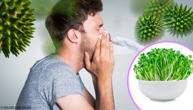 Les 6 bienfaits qu'il y a à introduire la luzerne dans votre alimentation