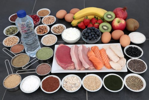 Aliments riches en créatine