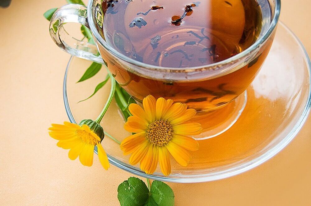 calendula