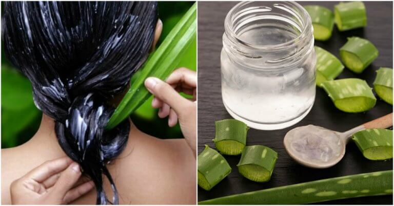 masque pour les cheveux à l'aloe vera